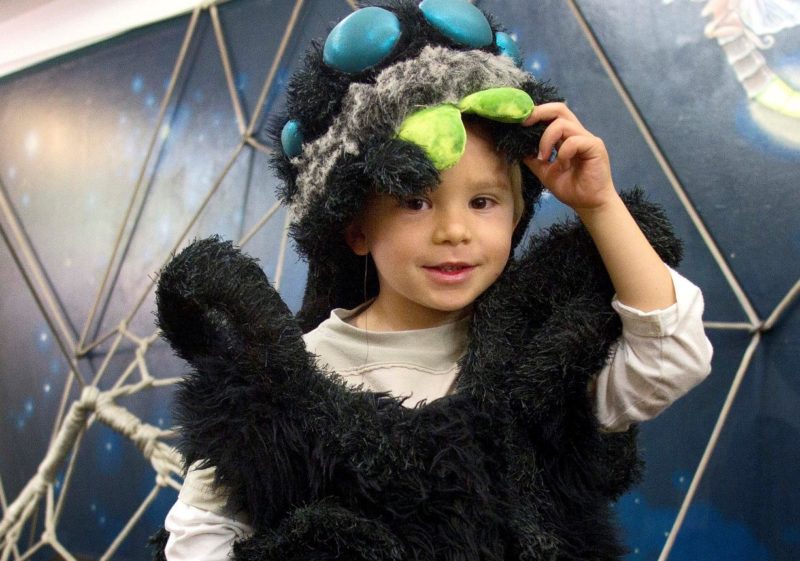 boy in spider costume