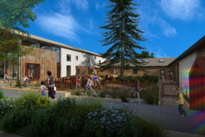 JMZ Dawn Redwood Courtyard